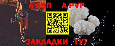 прущие грибы Новозыбков