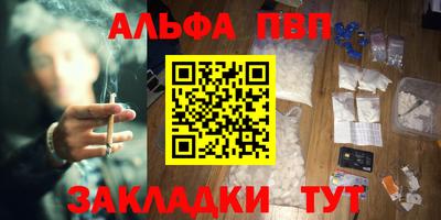 прущие грибы Новозыбков