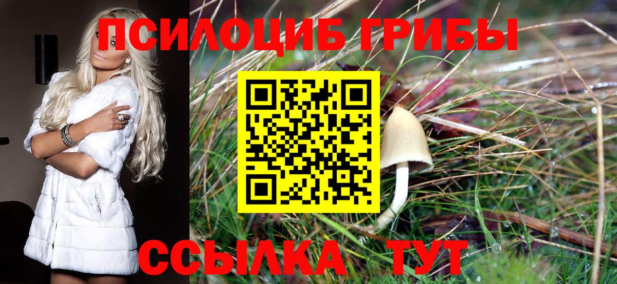 Псилоцибиновые грибы мицелий Стрежевой