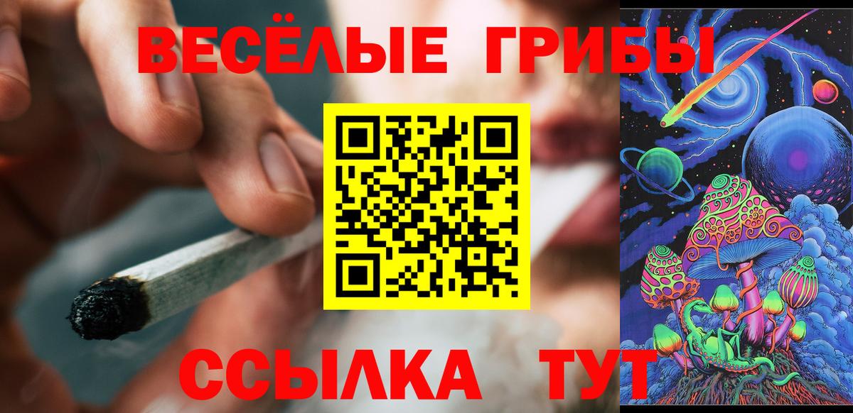 Псилоцибиновые грибы Cubensis  Вход с VPN  Стрежевой 